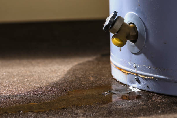 Best Water damage contractors near me  in St Marys, PA