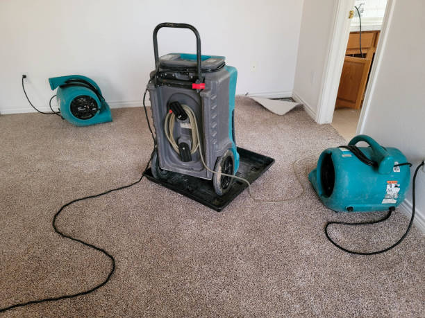 Best Flood restoration services  in St Marys, PA