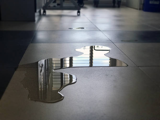 Best Commercial water damage restoration  in St Marys, PA