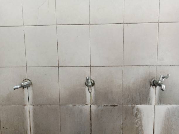 Best Carpet water damage restoration  in St Marys, PA