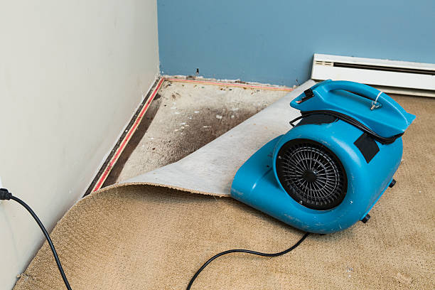 Best 24/7 water damage repair  in St Marys, PA